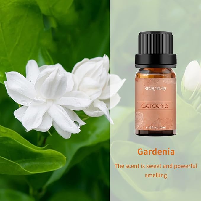 BURIBURI Gardenia Essential Oil, 100% Pure Gardenia Fragrance Oil, Fragrance Oil Essential Oils 10ML for Soap Candle Making