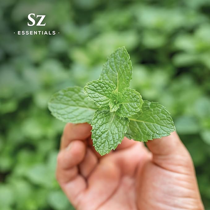 Peppermint Essential Oil – Mentha Piperita – 100% Pure & Natural – Fresh, Cool, & Minty Aroma for Diffuser, Aromatherapy, Perfumery & DIY Blends – Therapeutic Grade – Undiluted – 6.5mL