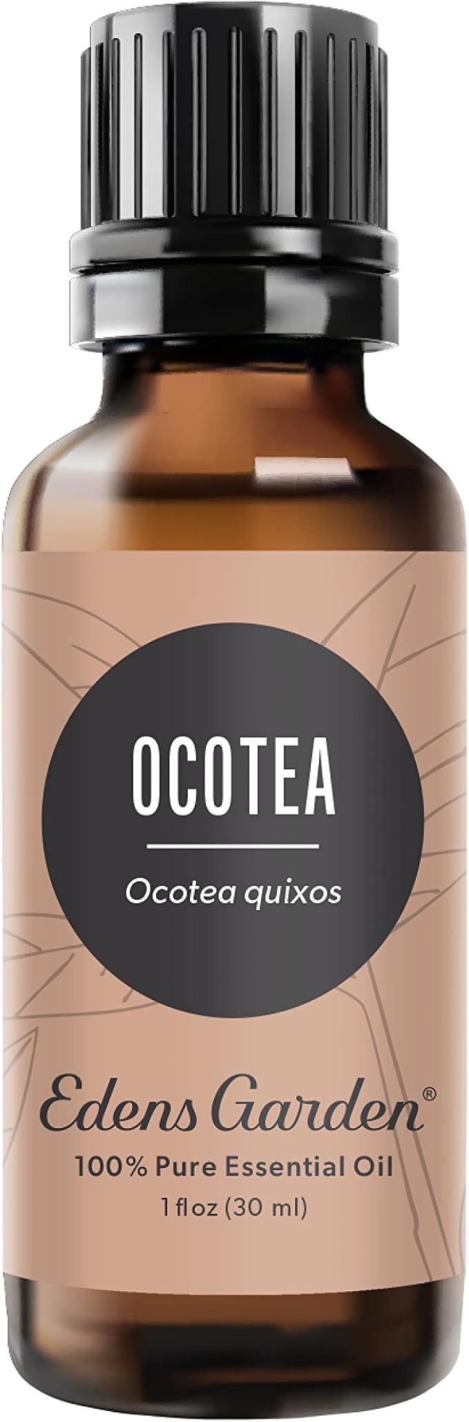 Edens Garden Ocotea Essential Oil- 100% Pure Premium Grade, Undiluted, Natural, Therapeutic, Aromatherapy, The Best for Diffuser, Candle, Laundry, Humidifiers 30 ml (1 fl oz)