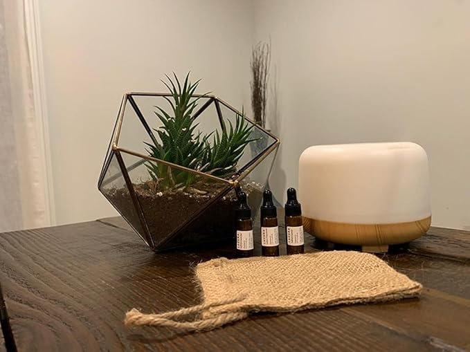 Lacura Essential Oils & Diffuser Gift Set for Home - Natural Lavender, Lemongrass & Eucalyptus Oils with LED Light Humidifier for Home Office - Pure Aromatherapy Wellness Set
