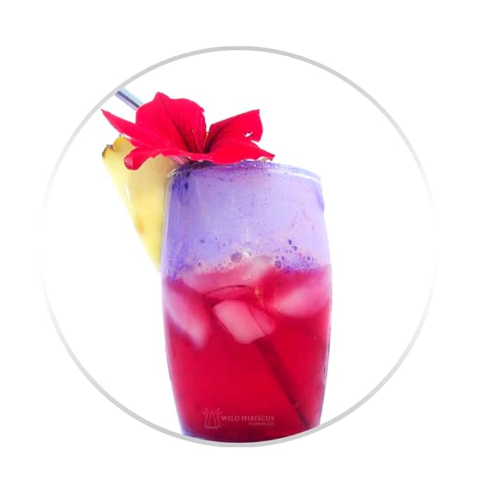 Wild Hibiscus All-Natural Hibiscus Cocktail Concentrate | 3.4 fl oz (100 ml) Bottle | Premium Mixer for Cocktails, Mocktails & Gourmet Drinks