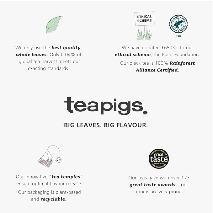 Teapigs Peppermint Leaves Tea Bags Made with Whole Leaves, Caffeine-Free, Natural Ingredients (1 Pack of 50 Teabags)