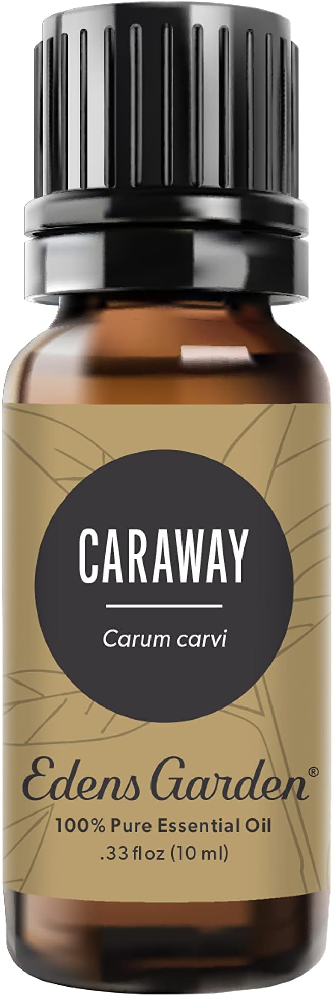 Edens Garden Caraway Essential Oil- 100% Pure Premium Grade, Undiluted, Natural, Therapeutic, Aromatherapy, The Best for Diffuser, Skin, Laundry, Humidifiers 10 ml (.33 fl oz)