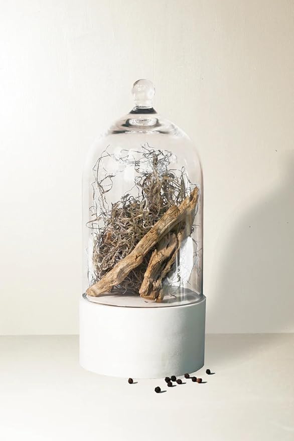 Luxury Reed Diffuser| True Hue | 3.75 fl oz | Glass and Rattan | Lasts for 2-3 Months | Fragrance Diffusers for Home | Handmade in USA (Dried Cedar + Moss)