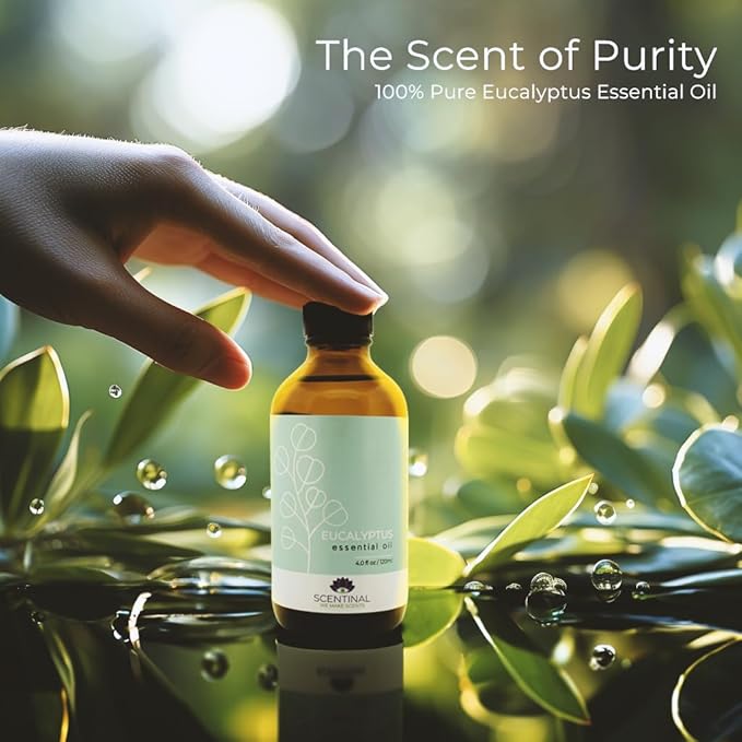 Scentinal Premium Essential Oil - 100% Pure, Natural & Authentic - Extra Large 4oz Bottle (120ml) with Eyedropper - Refreshing Aromatherapy Experience (4 oz / 120ml, Eucalyptus)