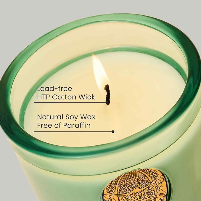 M&SENSE Natural Aromatherapy Soy Candle | Eucalyptus Mint & Blue | 9.2 oz, 50H Burn Time | Luxury Scented Candle for Relaxation, Gifting, Home Décor | Ideal for Bedroom, Office, Party Ambiance