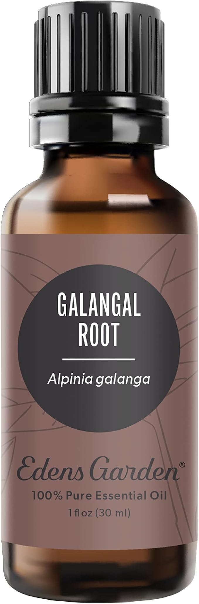 Edens Garden Galangal Root Essential Oil- 100% Pure Premium Grade, Undiluted, Natural, Therapeutic, Aromatherapy, The Best for Diffuser, Candle, Laundry, Humidifiers 30 ml (1 fl oz)