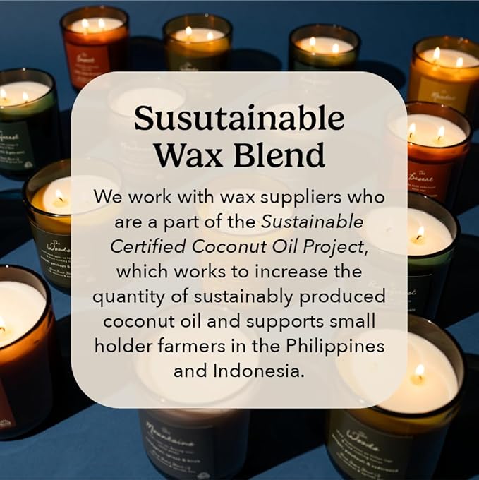 PACHA SOAP Co. Origins & Elements Candle Collection, The Mountains, 12 oz - Scents of Eucalyptus, Birch & Spruce - Clean Burning, Soy, Coconut & Apricot Wax, Lead-Free Wick, Cruelty-Free, Recyclable