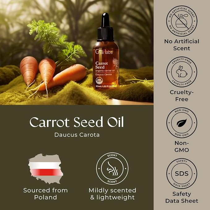 Gya Labs Carrot Seed Oil - 1 Fl Oz - Carrier Oil for Hair, Skin, Face, Scalp & Body Massage