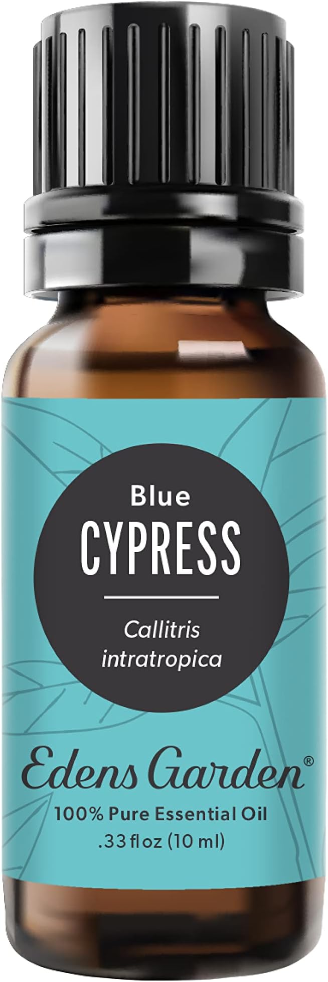 Edens Garden Cypress- Blue Essential Oil- 100% Pure Premium Grade, Undiluted, Natural, Therapeutic, Aromatherapy, The Best for Diffuser, Skin, Candle, Kid Safe 10 ml (.33 fl oz)