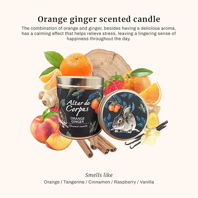 14 Oz Strong Scented Candles Long Lasting – Orange Ginger Candle - High End Luxury Candles for Home - Cute Candles for Women - Soy Wax Premium Blend - Decorative Candle for Men Gifts