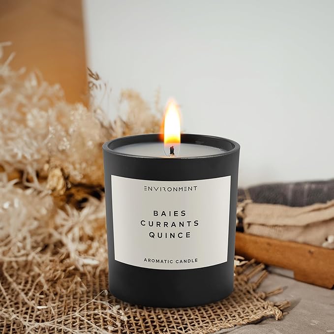 ENVIRONMENT Inspired by Designer Perfume DYPT Baies Candle, 8oz Luxury Coconut Apricot Wax Candles for Home (Baies | Currants | Quince) Home Fragrance Products, 1 Wick Candle, Vegan & Cruelty-Free