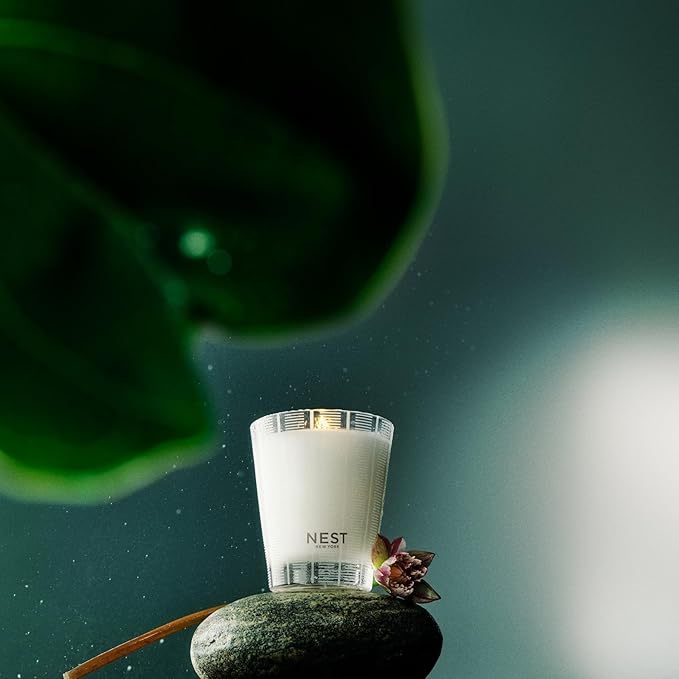NEST New York Scented Classic Candle, Forest Rain - 8.1 oz - Up to 60-Hour Burn Time - Reusable Glass Vessel