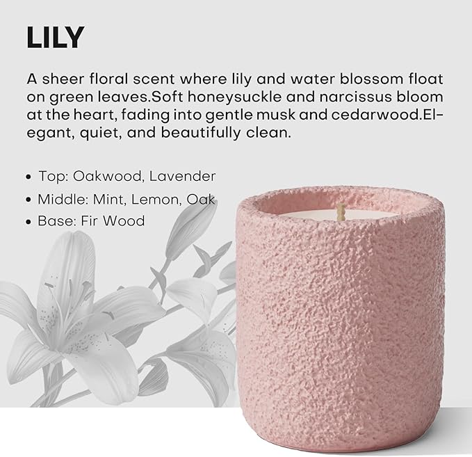 Scented Candles for Home, Natural Soy Wax Candle Gift, Non-Toxic Cement Jar Candles, Luxury Aromatherapy for Stress Relief, Gifts for Women and Men, Highly Scented, Lily Veil