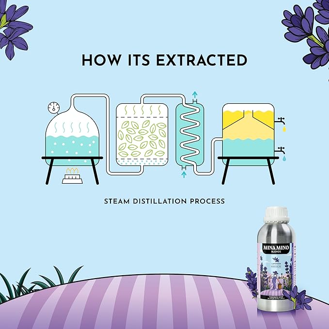 16 fl oz - Lavender Essential Oil (100% Pure & Natural) Large Aluminum Bottle for Aromatherapy, Diffuser, Candle & Soap Making - Minamino Blends