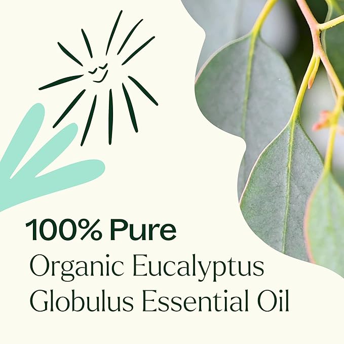 Plant Therapy Organic Eucalyptus Globulus Essential Oil 100% Pure, USDA Certified Organic, Undiluted, Natural Aromatherapy, Therapeutic Grade 10 mL (1/3 oz)
