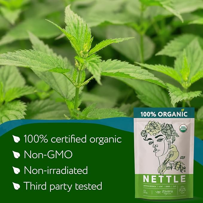 Zhivana Organics Nettle Tea – Nettle Leaf Organic, Nettle Tea Loose Leaf, Stinging Nettles Loose Leaf Organic, Ortiga Verde Organica - Dried Herbs for Medicinal Use - 8oz