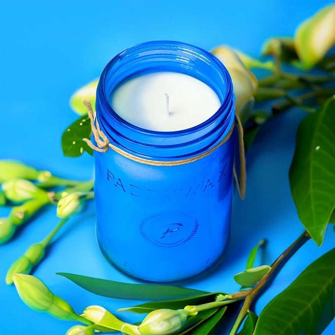 Paddywax Scented Candles Relish Collection Soy Wax Artisan Candle in Glass Jar with Lid, 9.5-Ounce, Gardenia + Tuberose