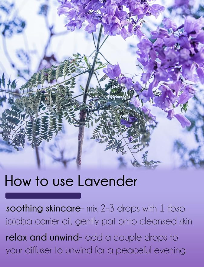 GreenHealth Lavender Essential Oil – 16 fl oz (473 ml) Amber Glass Bottle – 100% Pure & Uncut – Bulk Lavender Oil for Diffuser, Aromatherapy, Soap Making, Candles & DIY