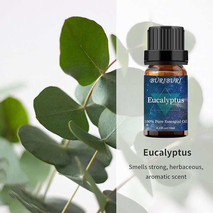 BURIBURI Eucalyptus Oil and Lavender Essential Oil Set 2 Pack, 100% Pure Diffuser Oil Eucalyptus Essential Oil for Massage, Soap Making