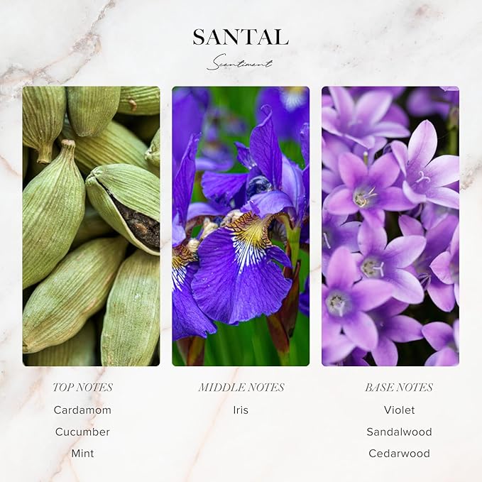 Scentiment Designer Diffuser Oil Discovery Kit – Top 3 Luxury-Inspired Scents | Aromatherapy Fragrance Oils for Home & Office | Long-Lasting & Elegant Scent (3 x 20ml)