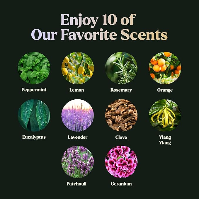 Essential Oils Set - Top 10 Gift Set Blends for Fragrance, Diffusers, Humidifiers, Aromatherapy, Cars & Home Products, Room Sprays, Candle Making, Yoga - Fragrance Oils for Botanical Fresheners Making