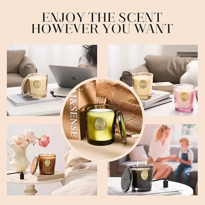 M&SENSE Large Two-Wick Aromatherapy Soy Candle | Eucalyptus Mint & Blue | 19.8 oz, 120H Burn Time | Luxury Scented Candle for Relaxation, Gifting, Home Décor | Ideal for Bedroom, Office