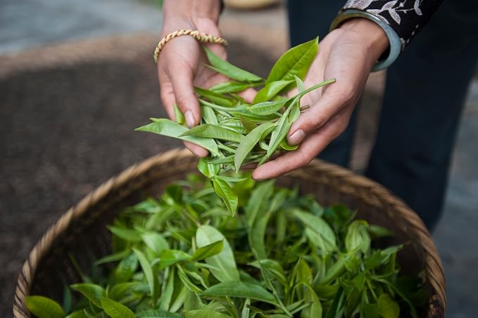 Palais des Thés - Imperial Chai - Black Tea, Cardamom & Pink Pepper - Premium Tea Bags, Serves 20 Cups