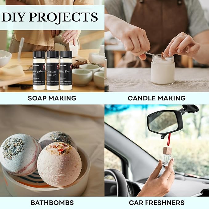 Scentia Fragrance Oil Set for Diffusers & Candle Making – Forest Fresh Pine, Bright Citrus Woods & Warm Gingerbread Bakery – 3 Aromatherapy Scents, 20ml DIY Craft Gift Set, Made in USA