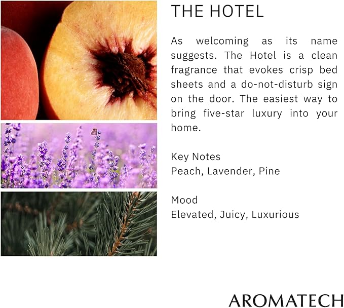 AromaTech The Aromatic Citrus Set | Gift Set of Aroma Diffuser Essential Oils Blend of The Hotel, Amalfi Revelry, Bergamot Orange and Santal Escape - 60 Milliliter