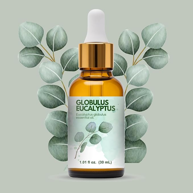 Eucalyptus Globulus Essential Oil by One Arome – Pure, Undiluted & Steam-Distilled Herbal Aroma for Diffusers for Home, Massage (Dilute), Cleaning & Linen Refresh(Pack of 6 × 1.0 fl oz Each)