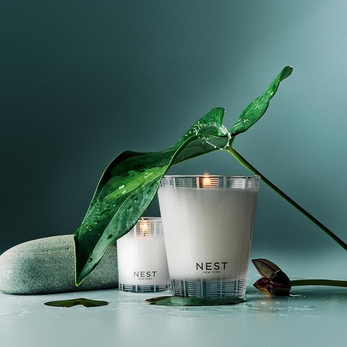 NEST New York Scented Classic Candle, Forest Rain - 8.1 oz - Up to 60-Hour Burn Time - Reusable Glass Vessel