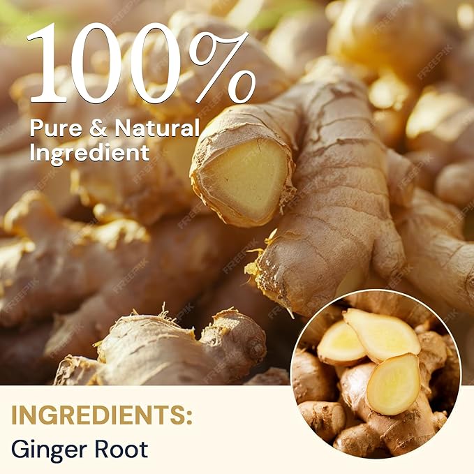Ginger Root Herbal Tea - Caffeine Free, 8 OZ