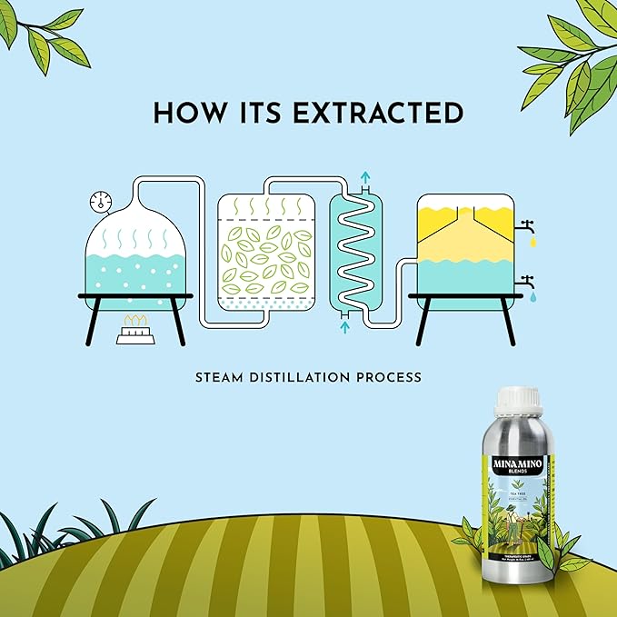 16 fl oz - Tea Tree Essential Oil (100% Pure & Natural) Large Aluminum Bottle for Aromatherapy, Diffuser, Candle & Soap Making - Minamino Blends