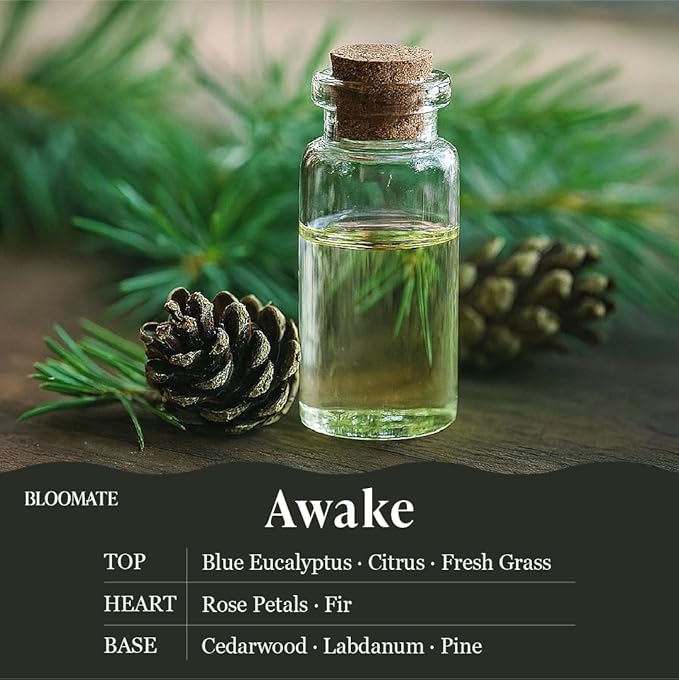 Bloomate Awake Candle – Handcrafted 3.5 oz Soy & Coconut Wax | Eucalyptus, Citrus & Pine | Plant-Based & Clean-Burning