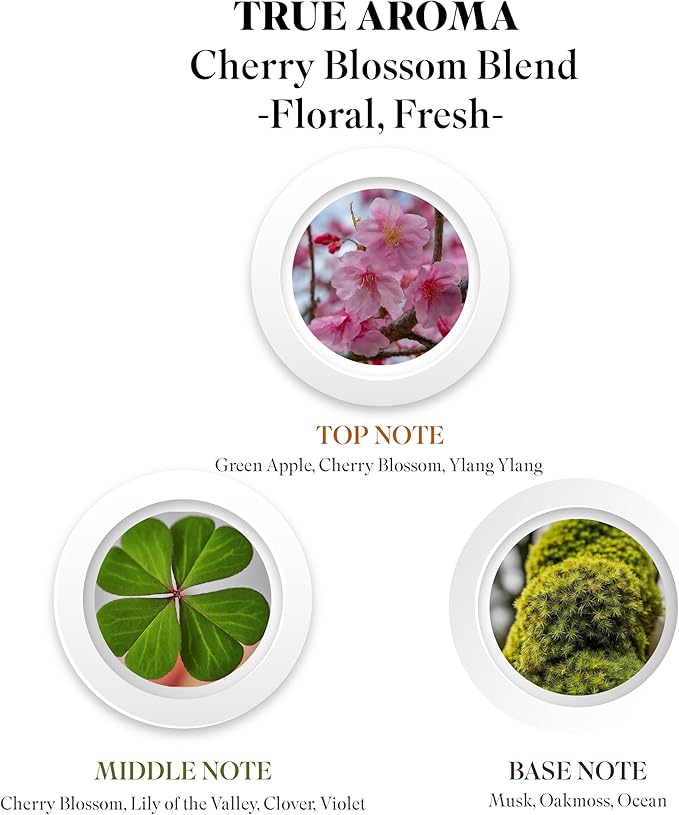 100% Pure Cherry Blossom Essential Oil | Japanese Cherry Blossom Scented Oil for Diffusers | Luxury Premium Grade, Undiluted, Natural, Aromatherapy Fragrance — 10 ML