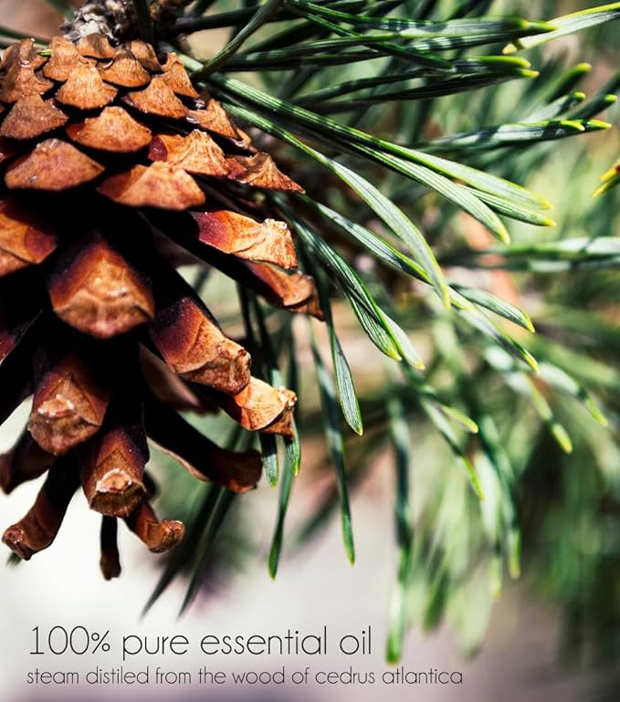 Cedarwood Atlas Essential Oil - 4 fl oz - 100% Pure Essential Oil - GreenHealth