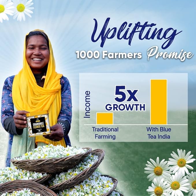 BLUE TEA - Turmeric Tea - Moringa - 15 Count - Pyramid Plant Based Tea Bag | CURCUMIN RICH - HERBAL BLEND | Caffeine Free - Gluten Free - Herbal Tea - Vegan - Mild Flavor - Healthy | Reusable Tin Pack