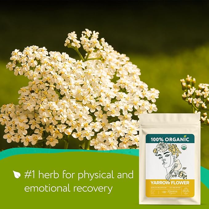Yarrow Flower Tea Organic (4oz.)- Dried Yarrow Herb Loose Leaf - Herbal Tea to Support Healthy Immune Function & Relaxation