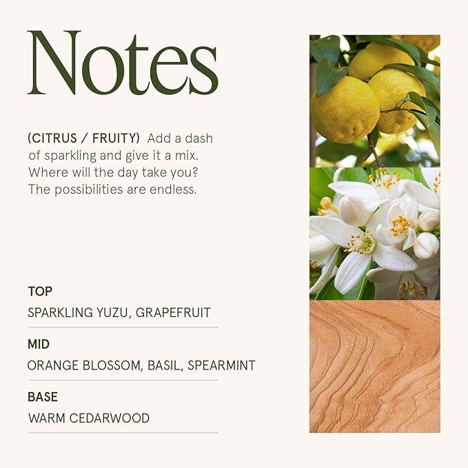 LA JOLIE MUSE Yuzu & Neroli Blossom Candle - Yuzu, Orange Blossom, Cedarwood | 6 oz Natural Soy Wax | 40 Hours Clean Burn | Citrus Scented Candle | Gift-Ready for Hosts & Gatherings