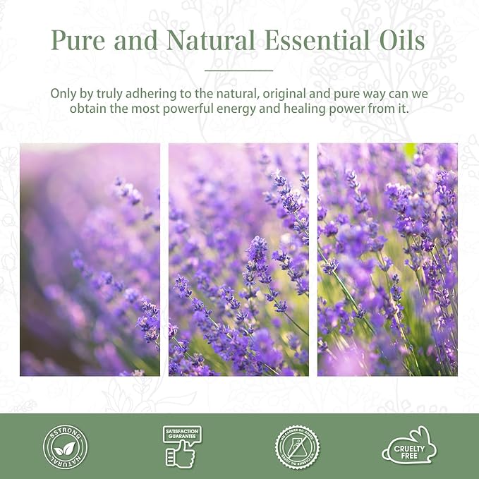 Lavender Essential Oil 1.01fl.oz/30ml, PHATOIL Lavender Oils Long Lasting Scents for Aromatherapy, Diffuser, DIY Soap and Candle Making