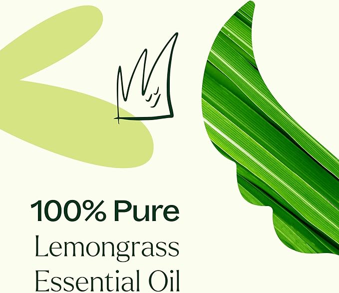 Plant Therapy Lemongrass Essential Oil 100% Pure, Undiluted, Natural Aromatherapy, Therapeutic Grade 100 mL (3.3 oz)