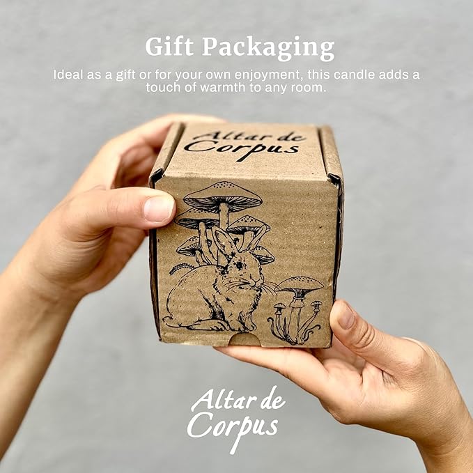 14 Oz Strong Scented Candles Long Lasting – Coconut Lemon Candle - High End Luxury Candles for Home - Cute Candles for Women - Soy Wax Premium Blend - Decorative Candle for Men Gifts