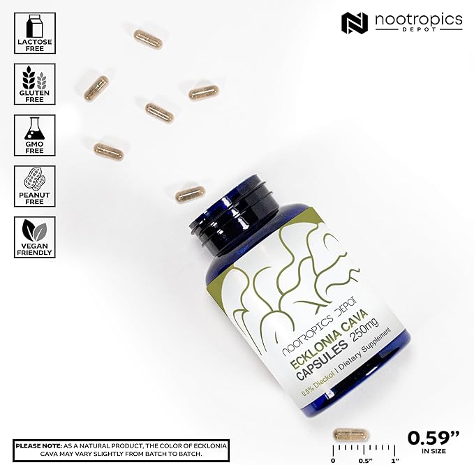 Nootropics Depot Ecklonia cava Capsules | 250mg | 0.5% Dieckol | Brown Seaweed | 60 Count