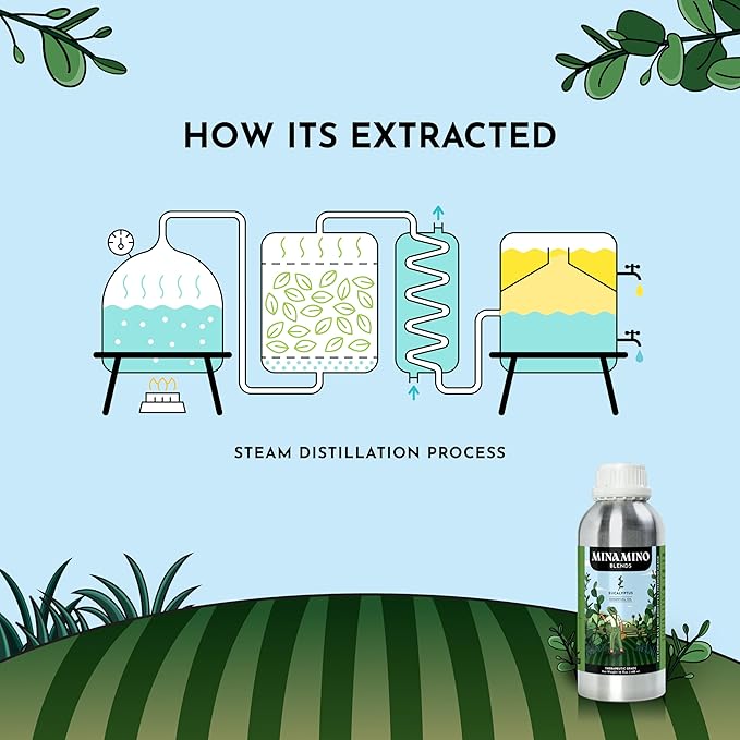 16 fl oz - Eucalyptus Essential Oil (100% Pure & Natural) Large Aluminum Bottle for Aromatherapy, Diffuser, Candle & Soap Making - Minamino Blends