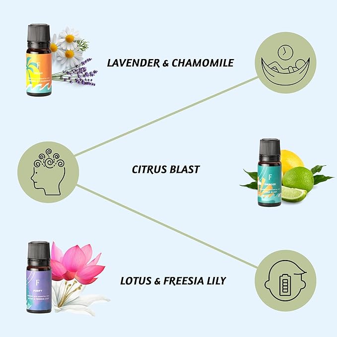 Folkulture AM to PM Essential Oils Set for Diffuser | Set of 6 Everyday Aromatherapy Oils | Palo Santo, Lavender, Sandalwood, Citrus & Balanced Blends | Home Fragrance Oils & Wellness Gift Set
