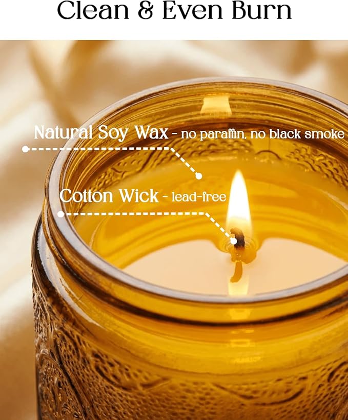 Organic Daisy Cedar Scented Candle - Non Toxic Soy Wax, Large, Aromatherapy Stress Relief, Meditation, Luxurt Room Decor, Christmas Holiday Gifts for Women Men, Long Lasting with 70H Burn Time (14oz)