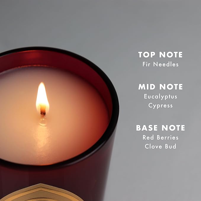 Saint Nicholas Scented Candle with Prayer and Prayer Coin, Saint of Generosity, Soy Coconut Aromatherapy Candle with 80 Hour Burn Time, Special Edition
