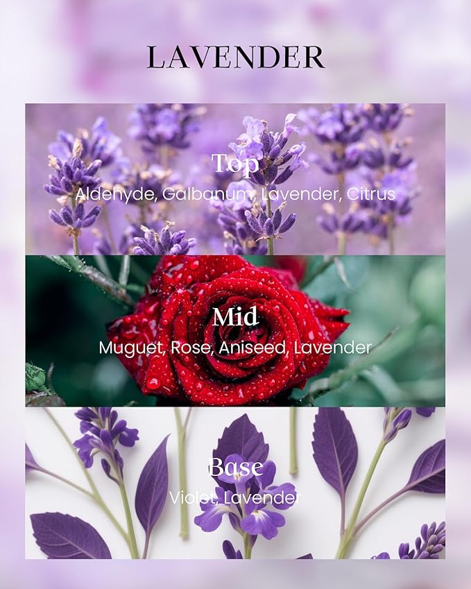 M&SENSE Lavender Candles,Vegan Soy,8.1oz 42-Hour Long Lasting Burning Time,Subtle Scented Candles for Relaxing Bathtub Aromatherapy Calming Sleep,Fancy Home Gifts for Women & Men