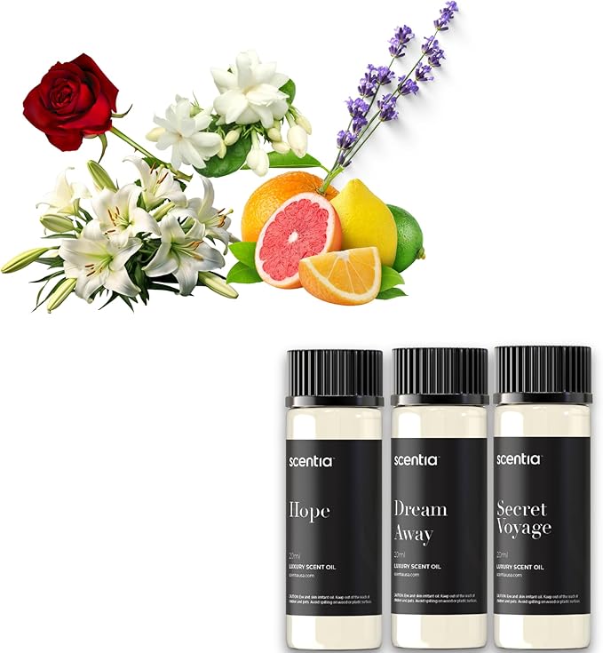 Perfume-Inspired Essential Oil Set – 3×20 ml Diffuser Oils with Floral & Woody Notes | Designer Fragrance Blends for Home, Spa & Aromatherapy - Thanksgiving & Holiday Gift